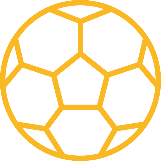 Football icon